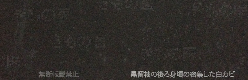 黒留袖にできた恐ろしいほどおぞましい白カビの密集発生部分の画像　長期保管の『ほったらかし』が悲劇を生むのです