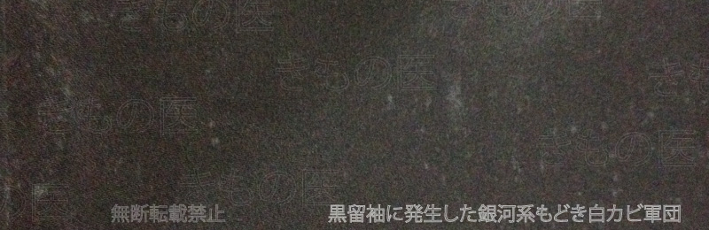長く保管し続けていた黒留袖の前身頃にできた銀河系の星々集団のように密集し広がりながら育ってしまった白カビ被害の画像
