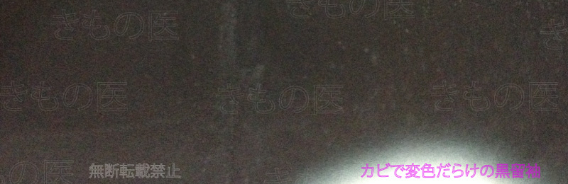 白いカビにまみれた黒留袖の後ろ身頃画像　放置しっぱなしで起こる悲劇のひとつです