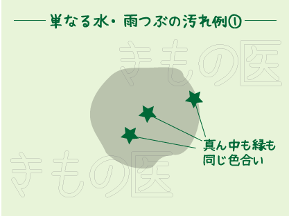 着物についた水・雨粒汚れの例① 真ん中もフチも同じようなくすみ色