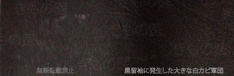 「長期保管してたらこうなってしまったんです」とご相談のあった黒留袖の後身頃にできた手のひら大の大きな白カビのカタマリ画像